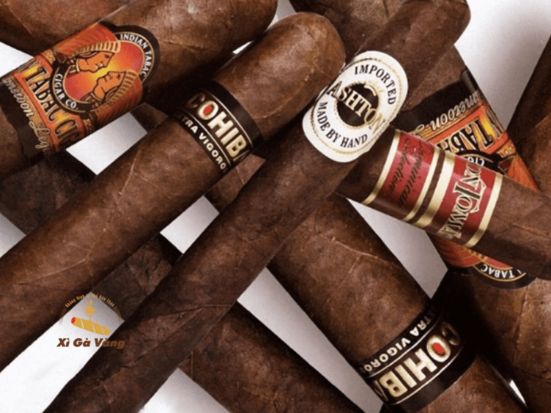 Mẹo chọn xì gà phù hợp